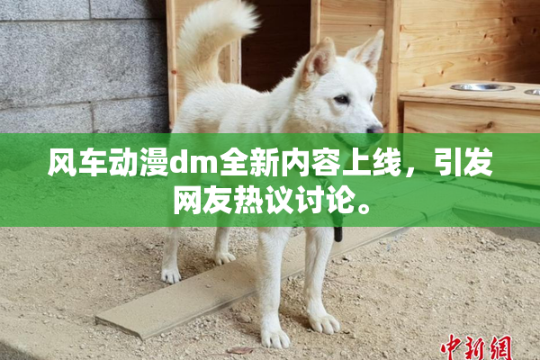 风车动漫dm全新内容上线，引发网友热议讨论。
