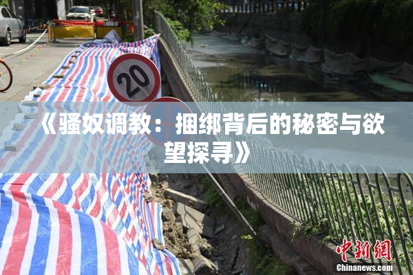 《骚奴调教：捆绑背后的秘密与欲望探寻》