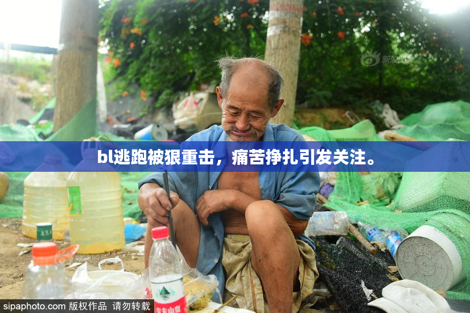 bl逃跑被狠重击，痛苦挣扎引发关注。