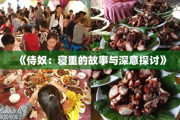 《侍奴：寝重的故事与深意探讨》