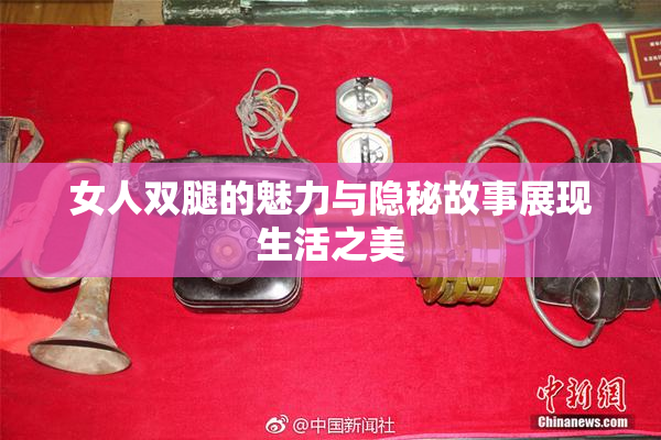 女人双腿的魅力与隐秘故事展现生活之美