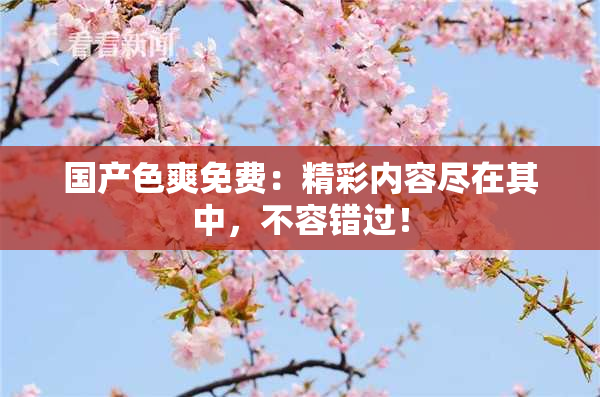 国产色爽免费：精彩内容尽在其中，不容错过！