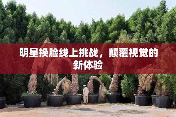 明星换脸线上挑战，颠覆视觉的新体验