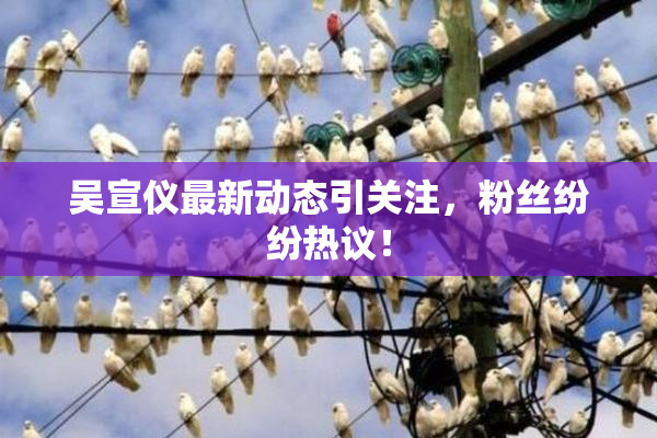 吴宣仪最新动态引关注，粉丝纷纷热议！
