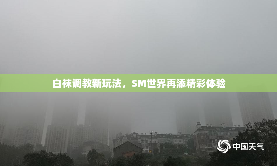 白袜调教新玩法，SM世界再添精彩体验