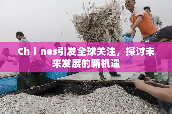 Chⅰnes引发全球关注，探讨未来发展的新机遇