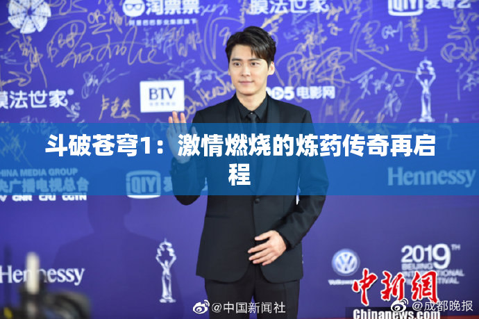 斗破苍穹1：激情燃烧的炼药传奇再启程