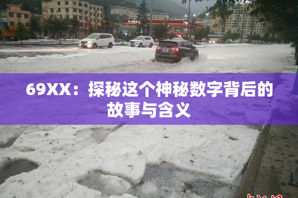 69ΧΧ：探秘这个神秘数字背后的故事与含义