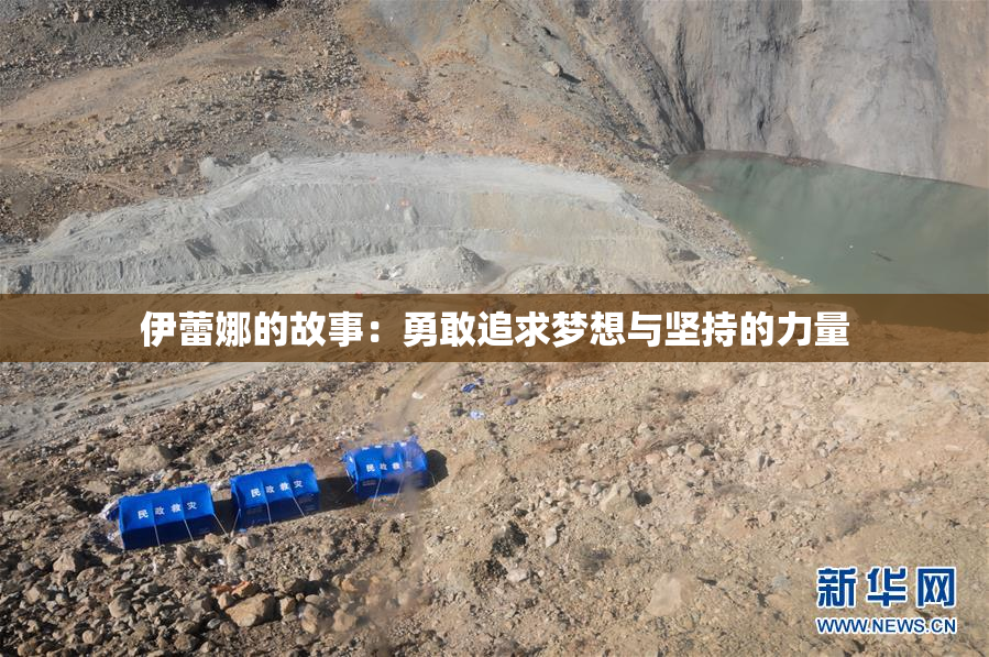 伊蕾娜的故事：勇敢追求梦想与坚持的力量