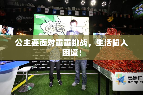 公主要面对重重挑战，生活陷入困境！