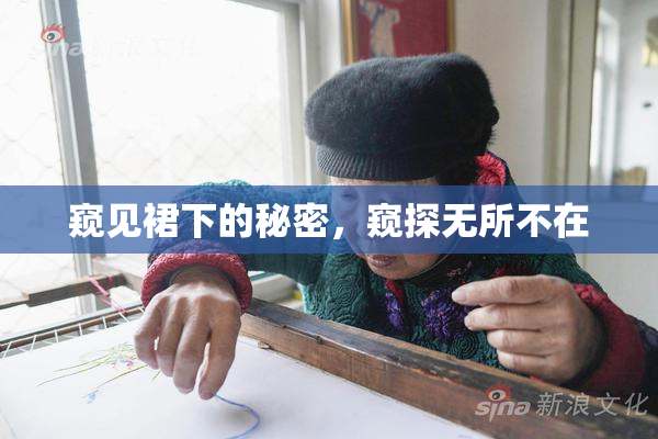 窥见裙下的秘密，窥探无所不在