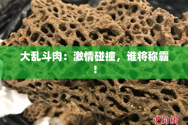 大乱斗肉：激情碰撞，谁将称霸！