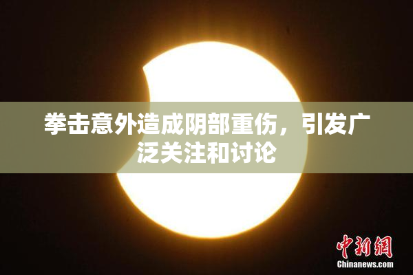 拳击意外造成阴部重伤，引发广泛关注和讨论