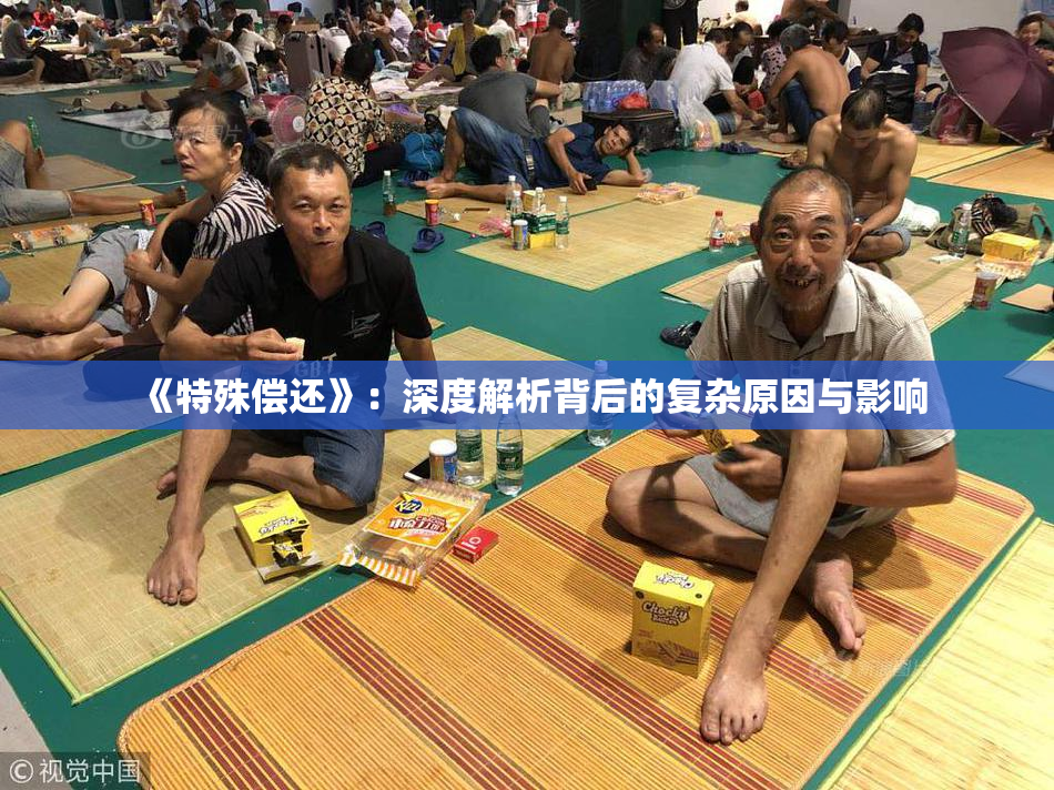 《特殊偿还》：深度解析背后的复杂原因与影响