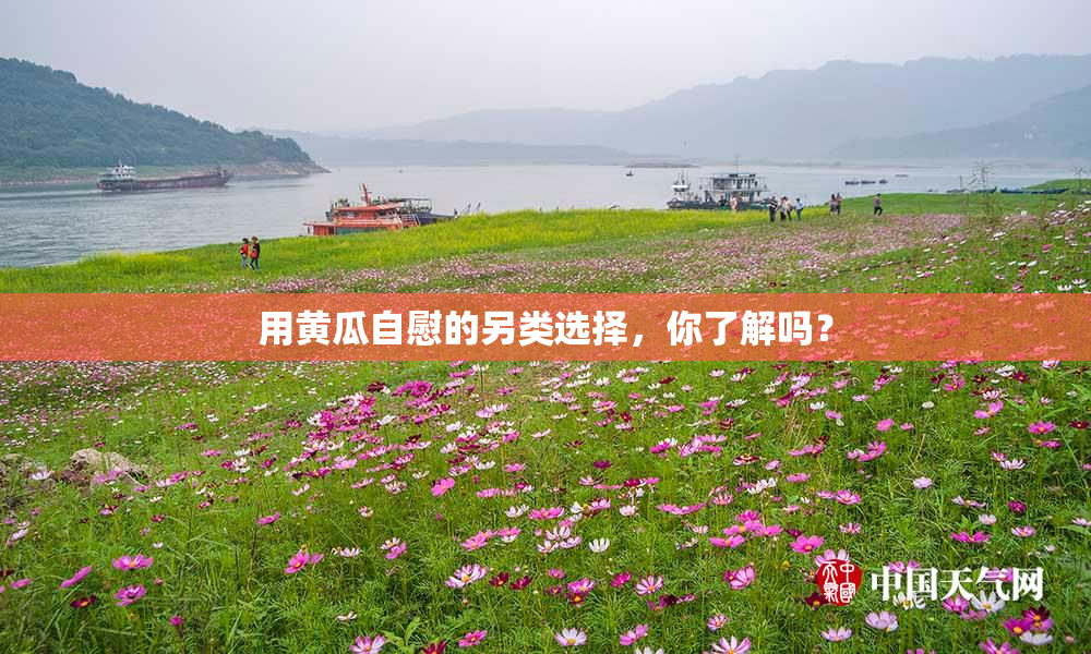 用黄瓜自慰的另类选择，你了解吗？