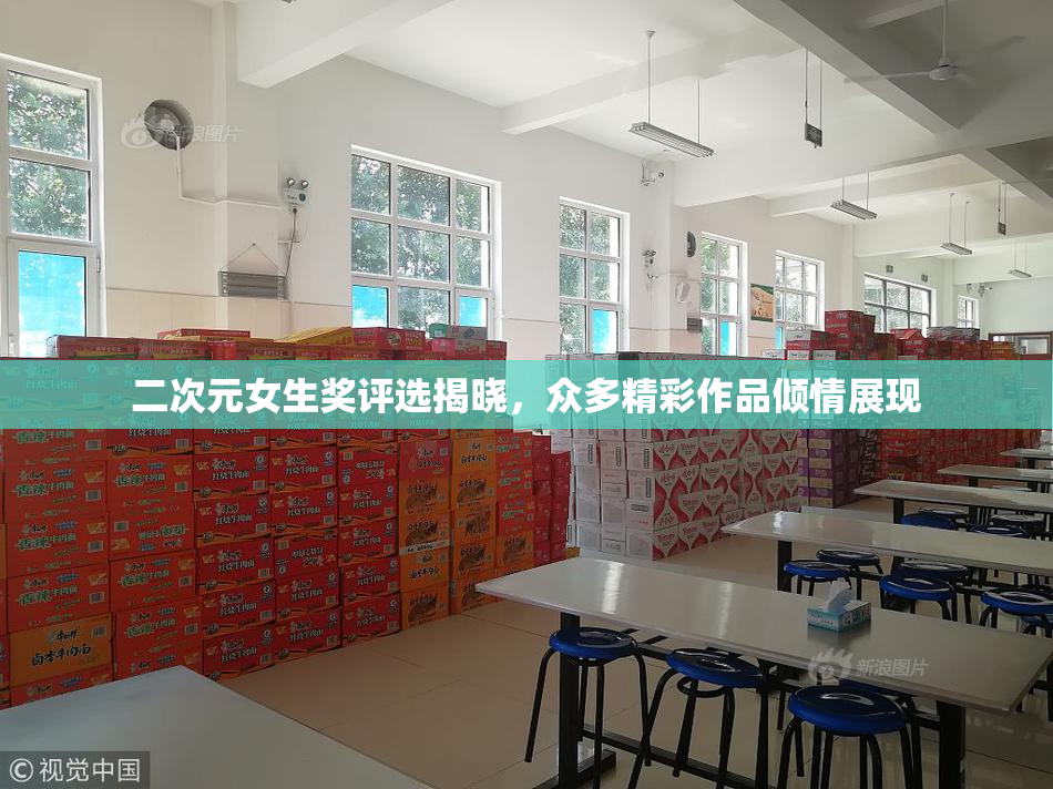 二次元女生奖评选揭晓，众多精彩作品倾情展现