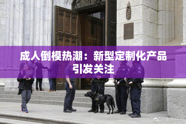 成人倒模热潮：新型定制化产品引发关注