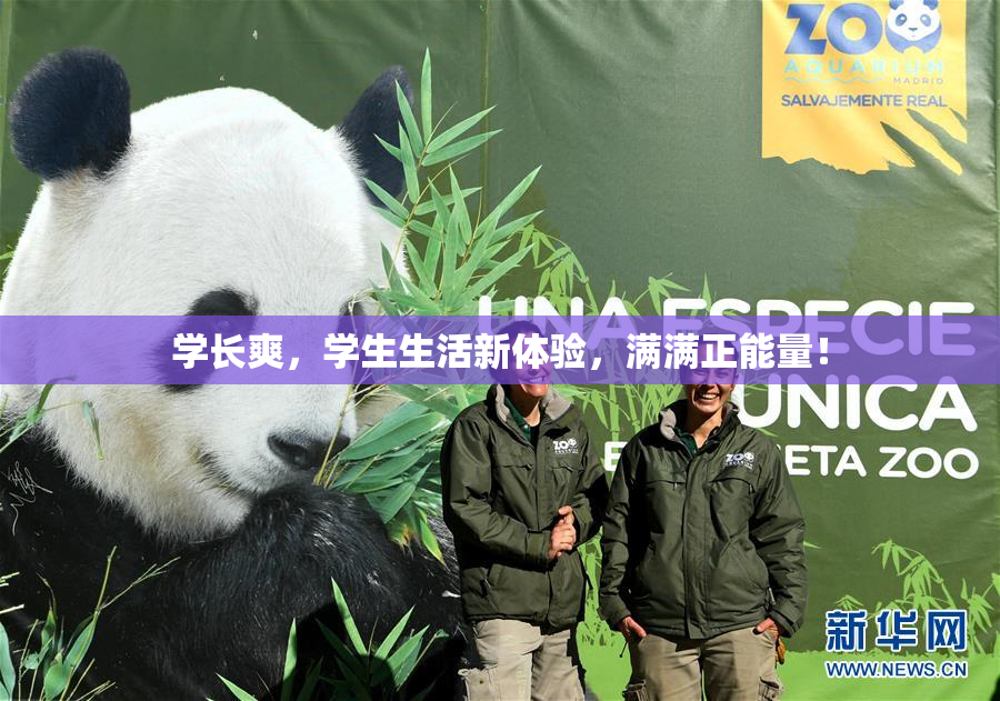 学长爽，学生生活新体验，满满正能量！