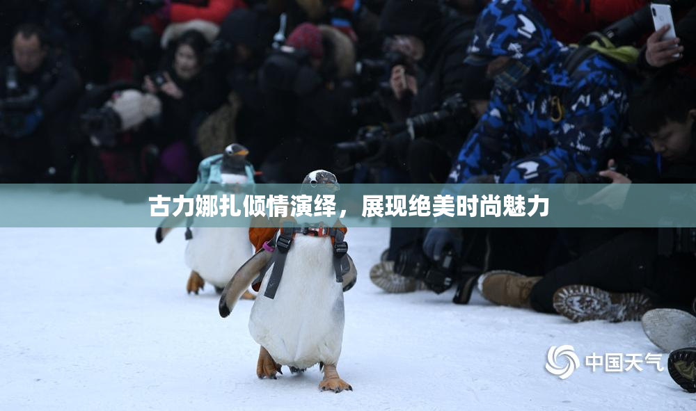 古力娜扎倾情演绎，展现绝美时尚魅力