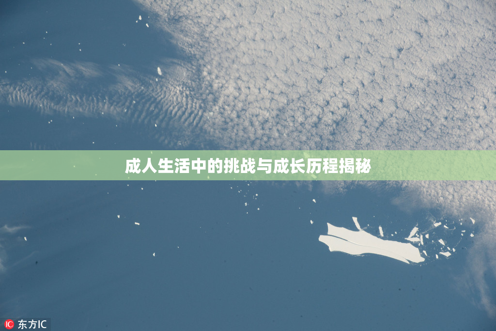 成人生活中的挑战与成长历程揭秘