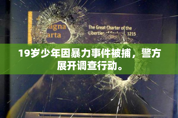 19岁少年因暴力事件被捕，警方展开调查行动。