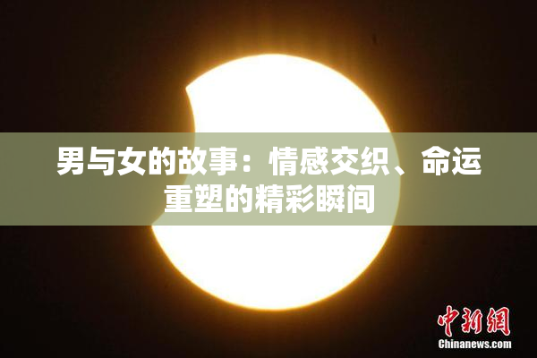 男与女的故事：情感交织、命运重塑的精彩瞬间
