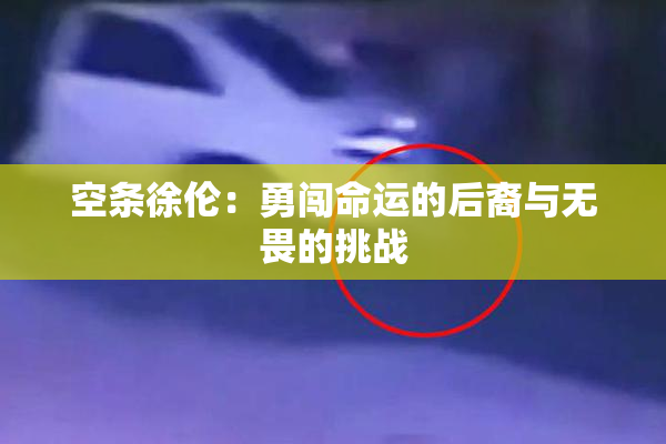 空条徐伦：勇闯命运的后裔与无畏的挑战