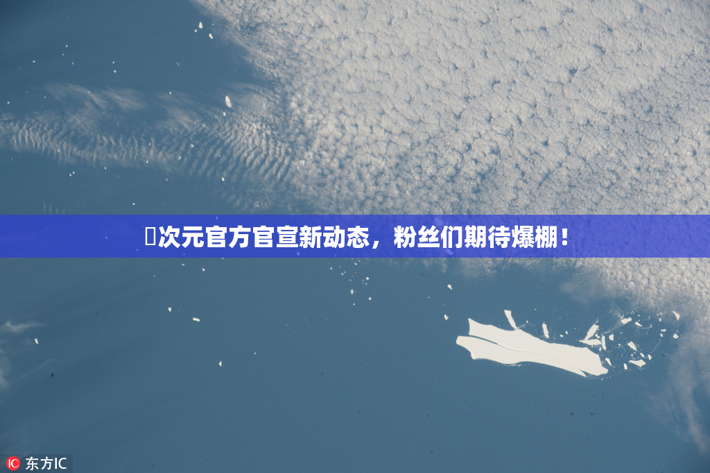 囧次元官方官宣新动态，粉丝们期待爆棚！