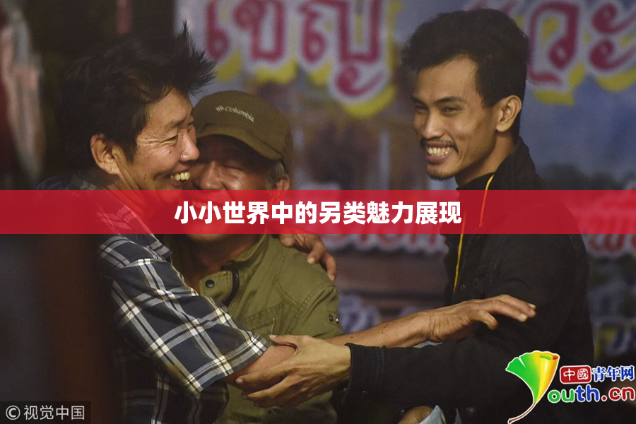 小小世界中的另类魅力展现