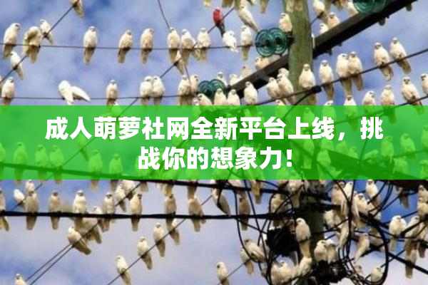 成人萌萝社网全新平台上线，挑战你的想象力！