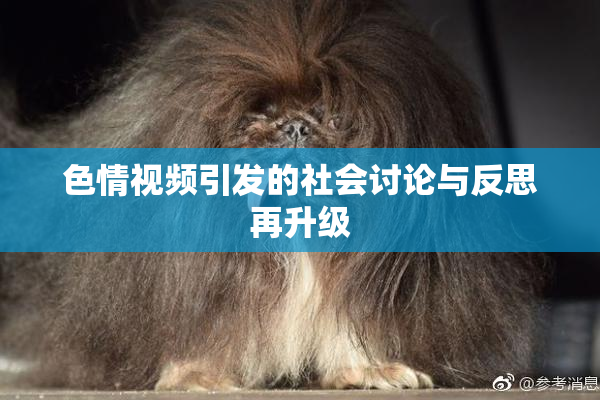 色情视频引发的社会讨论与反思再升级