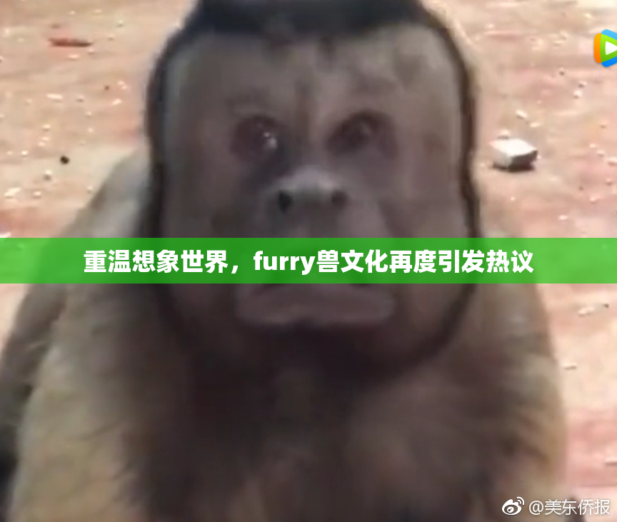 重温想象世界，furry兽文化再度引发热议