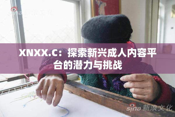 XNXX.C：探索新兴成人内容平台的潜力与挑战