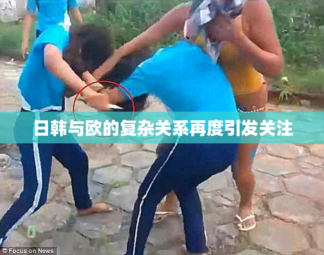 日韩与欧的复杂关系再度引发关注