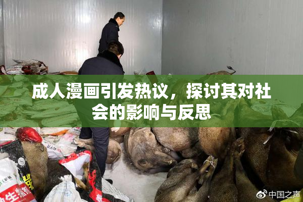 成人漫画引发热议，探讨其对社会的影响与反思