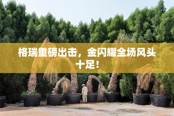 格瑞重磅出击，金闪耀全场风头十足！