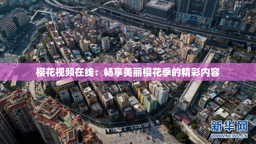 樱花视频在线：畅享美丽樱花季的精彩内容