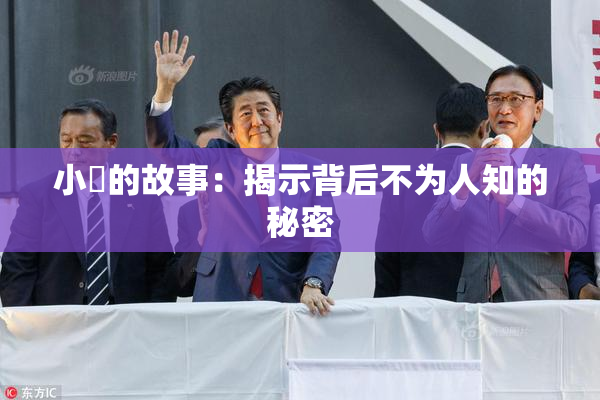 小泬的故事：揭示背后不为人知的秘密