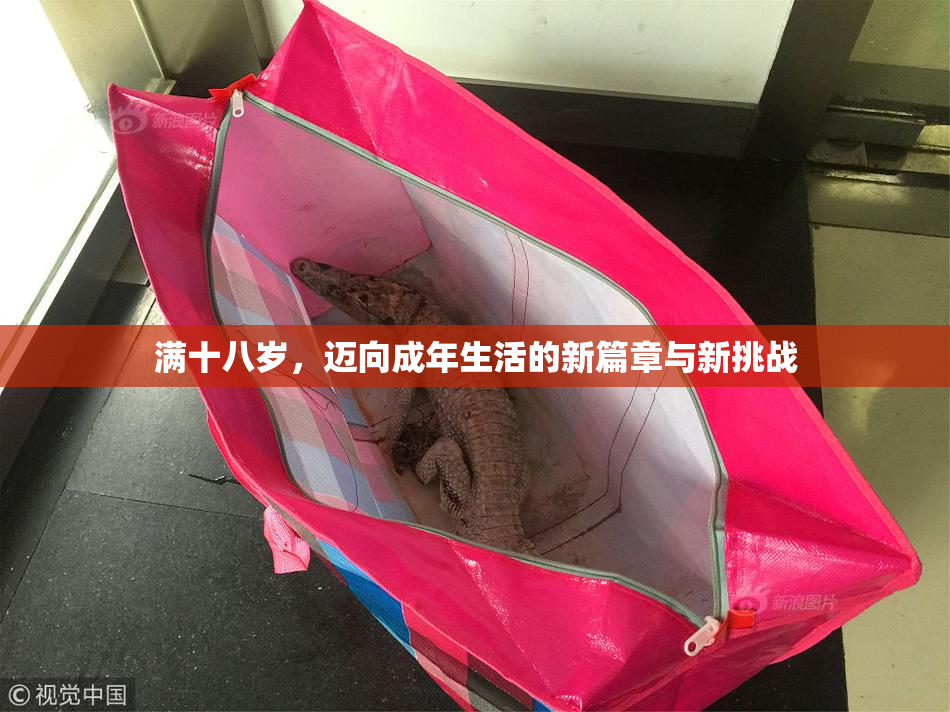 满十八岁，迈向成年生活的新篇章与新挑战