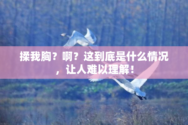 揉我胸？啊？这到底是什么情况，让人难以理解！