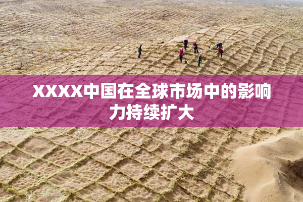 XXXX中国在全球市场中的影响力持续扩大