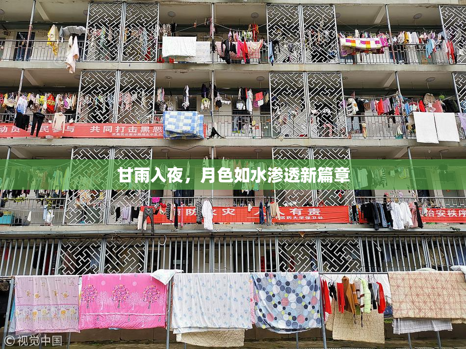 甘雨入夜，月色如水渗透新篇章