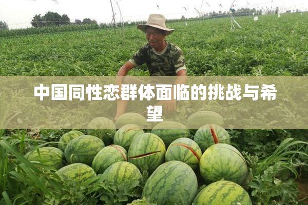 中国同性恋群体面临的挑战与希望