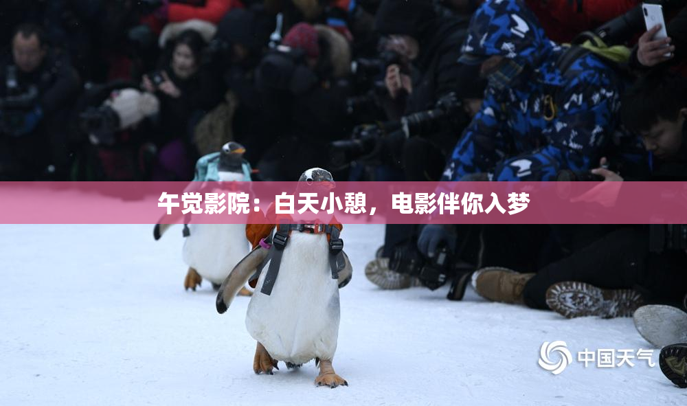 午觉影院：白天小憩，电影伴你入梦