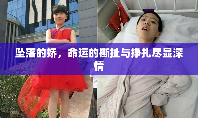 坠落的娇，命运的撕扯与挣扎尽显深情