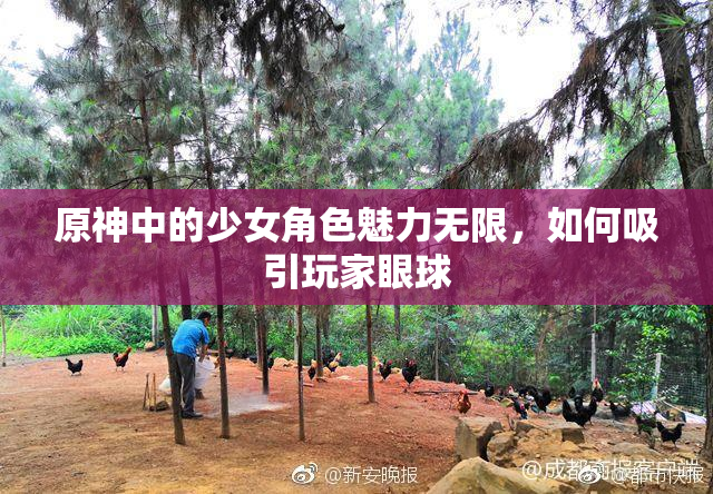 原神中的少女角色魅力无限，如何吸引玩家眼球