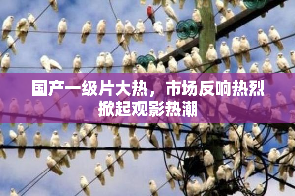 国产一级片大热，市场反响热烈掀起观影热潮