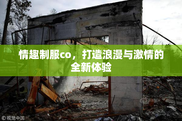 情趣制服co，打造浪漫与激情的全新体验