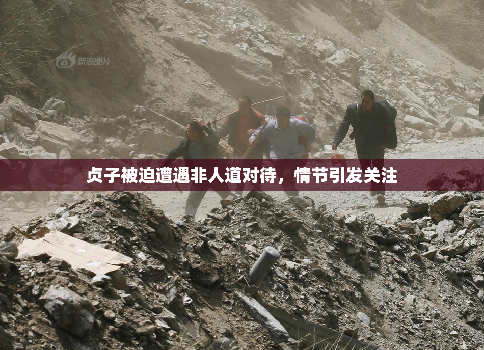 贞子被迫遭遇非人道对待，情节引发关注