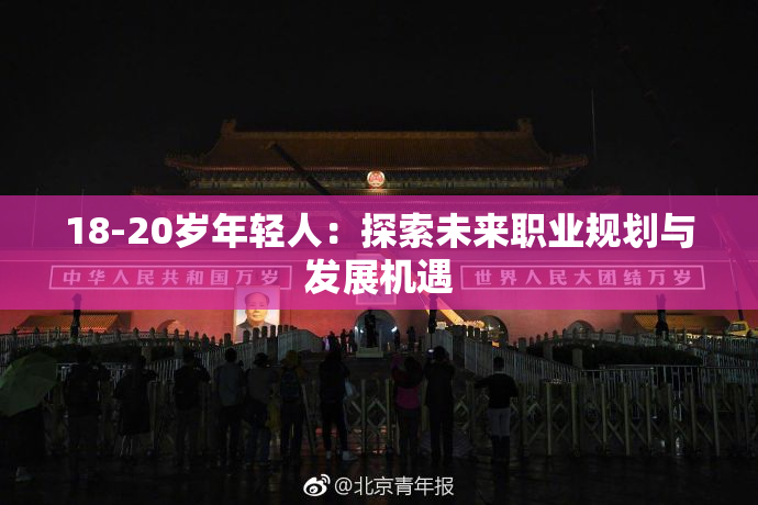 18-20岁年轻人：探索未来职业规划与发展机遇